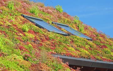 Bircham Tofts living roof systems